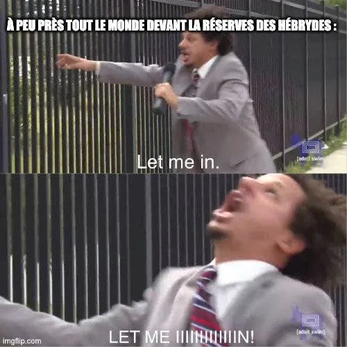 Image postée par le membre