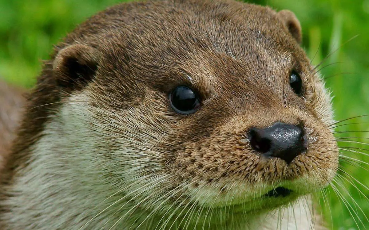 Image postée par le membre