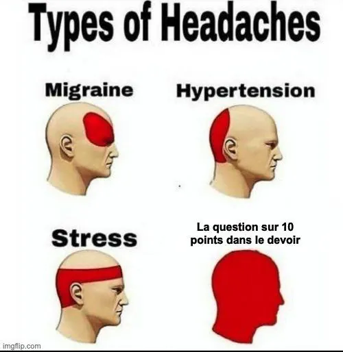 Image postée par le membre