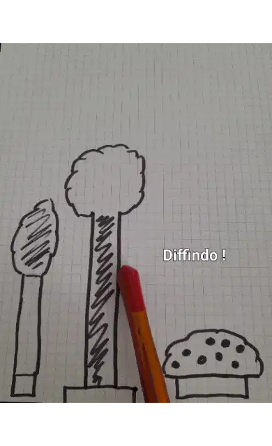 Image postée par le membre