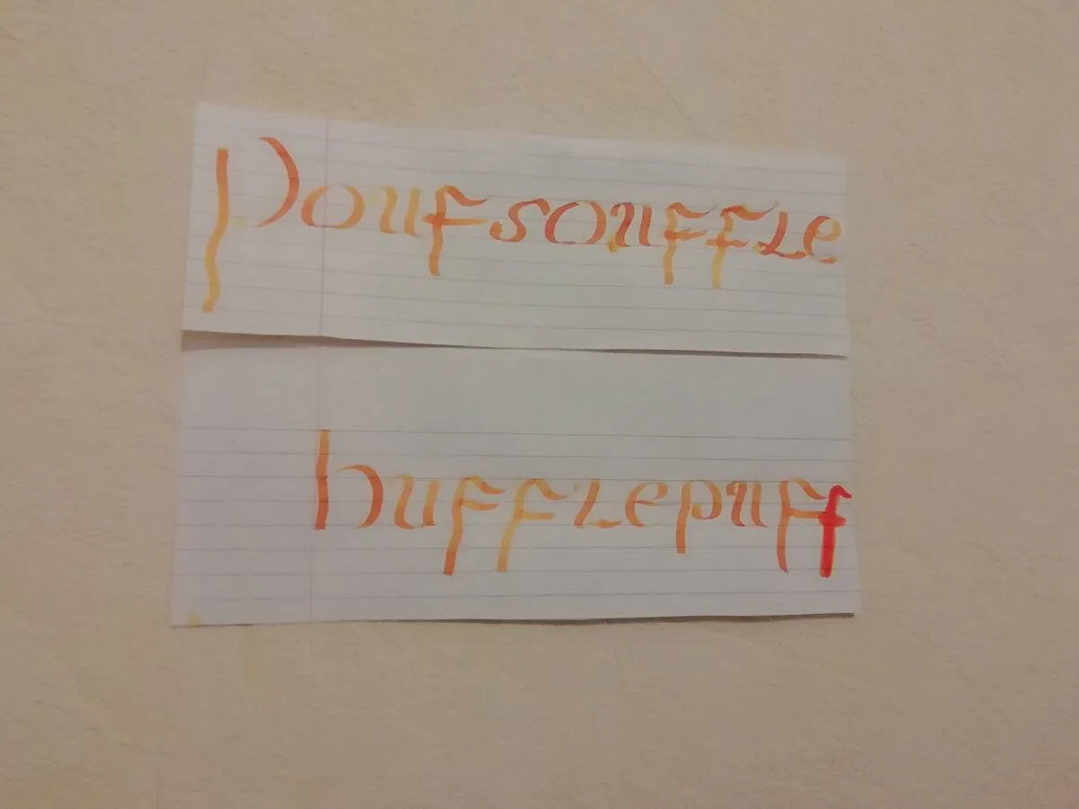 Image postée par le membre