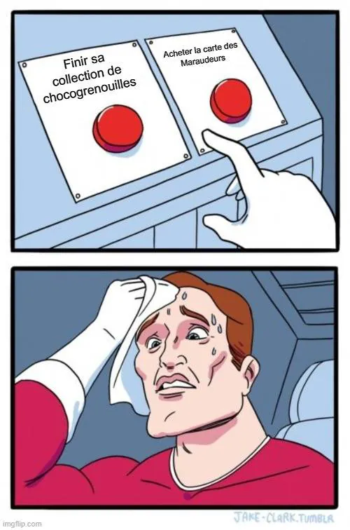 Image postée par le membre