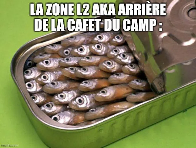 Image postée par le membre