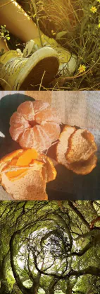 Image postée par le membre
