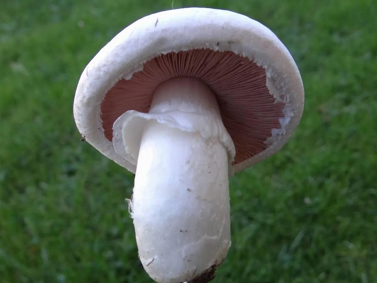 Image postée par le membre