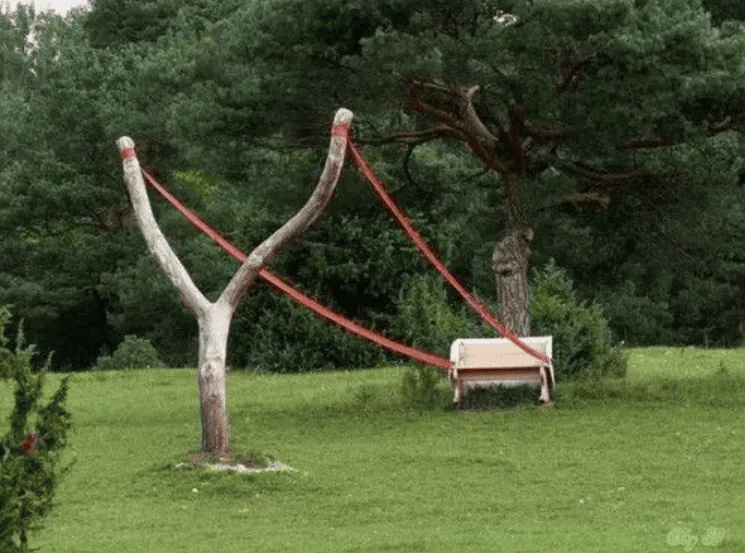 Image postée par le membre