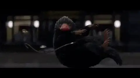 Image postée par le membre