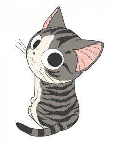Image postée par le membre