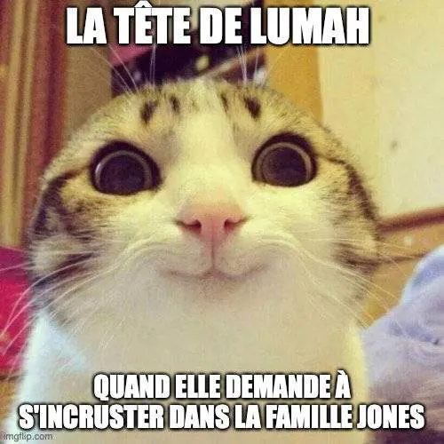 Image postée par le membre