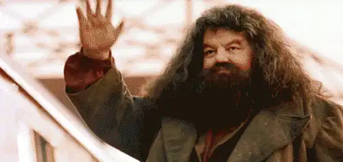 Image postée par le membre