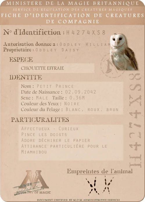 Image postée par le membre