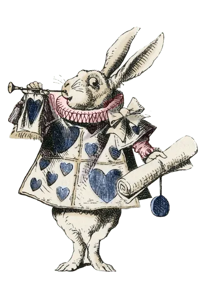Image postée par le membre