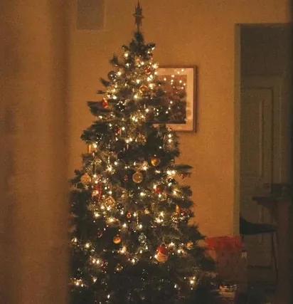 sapin de noël