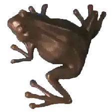 Image postée par le membre
