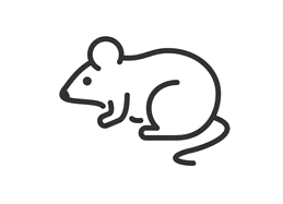un symbole de petite souris (ligne noire sur fond transparent)