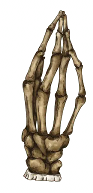Image postée par le membre