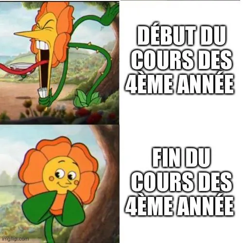 Image postée par le membre