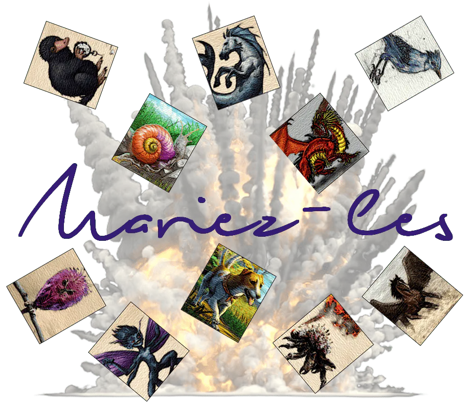 Image postée par le membre