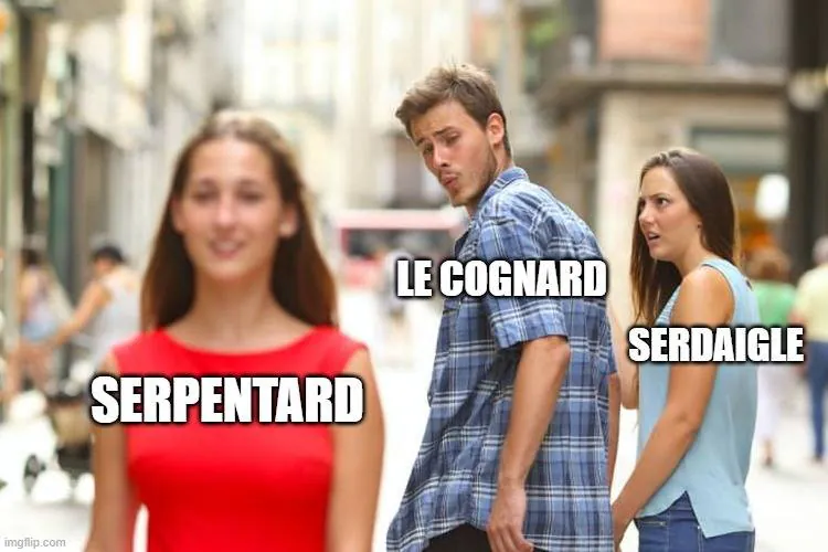 Image postée par le membre