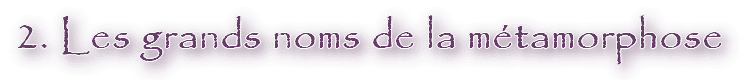 Image postée par le membre