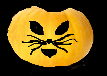 Image postée par le membre