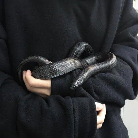 Image postée par le membre