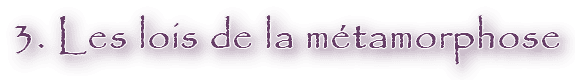 Image postée par le membre