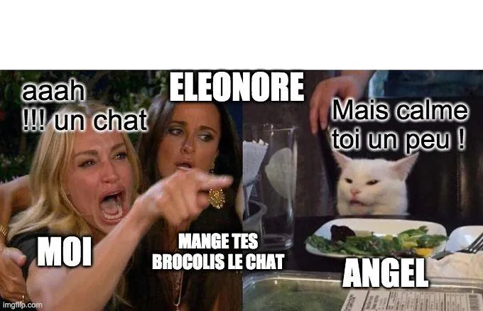 Image postée par le membre