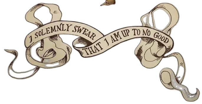 I solemnly swear I'm up to no good