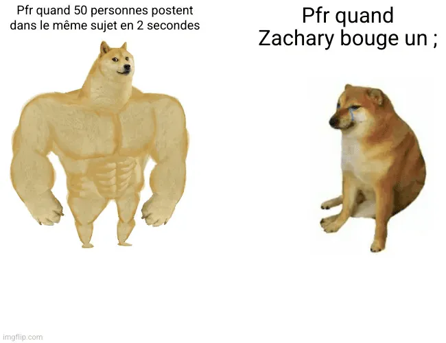 Image postée par le membre