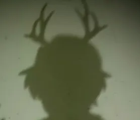bois de cerf