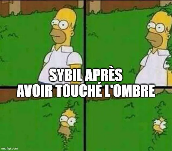 Image postée par le membre