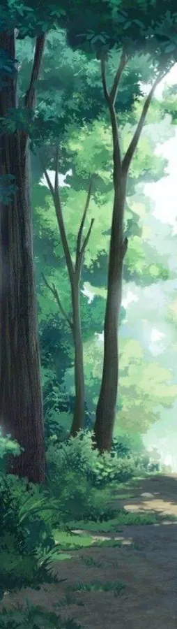 Image postée par le membre