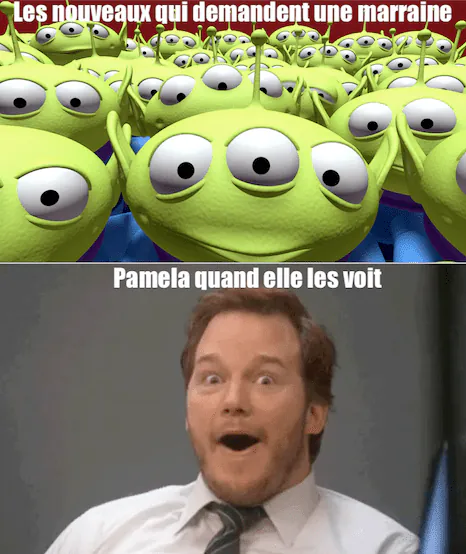 Image postée par le membre