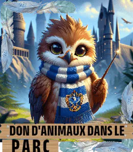 Image postée par le membre