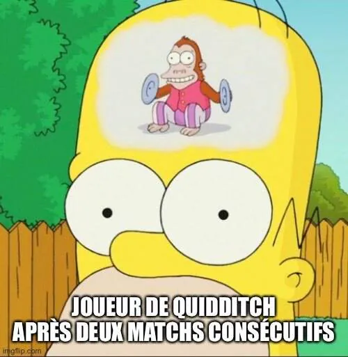 Image postée par le membre